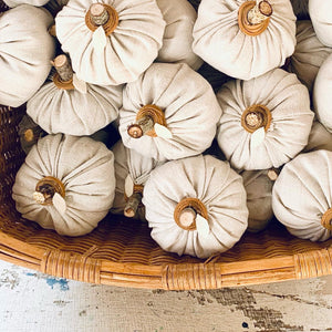 Pumpkin Season