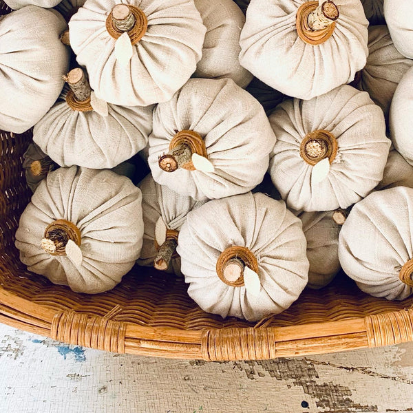 Pumpkin Season