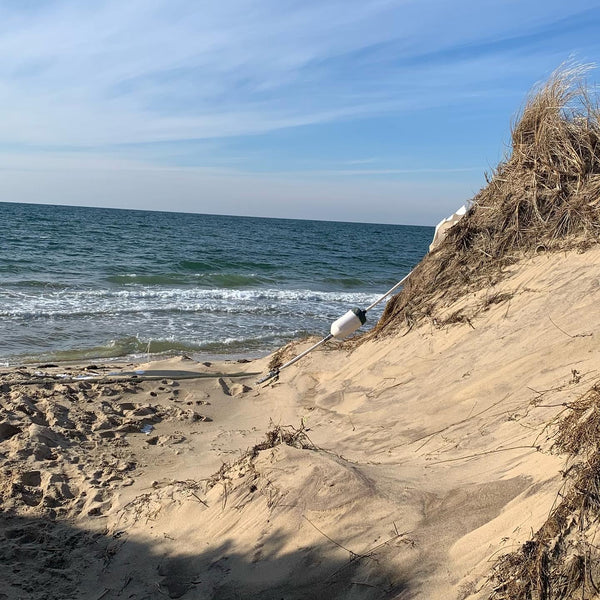February On Cape Cod
