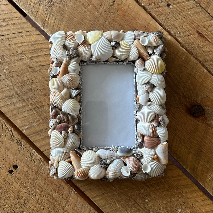 Thrifted Shell Frame