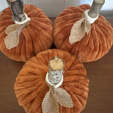 Burnt Orange Pumpkin
