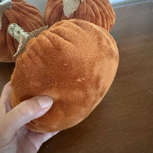 Burnt Orange Pumpkin