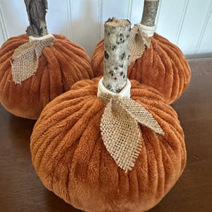 Burnt Orange Pumpkin