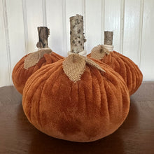 Burnt Orange Pumpkin
