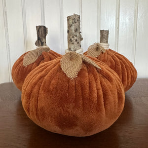 Burnt Orange Pumpkin