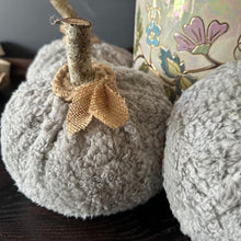 Gray Sherpa Pumpkin