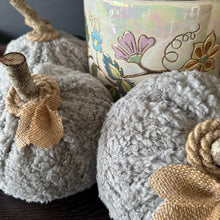 Gray Sherpa Pumpkin