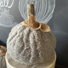 Gray Sherpa Pumpkin