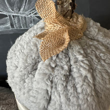 Gray Sherpa Pumpkin