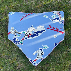 Home Plate Pillow